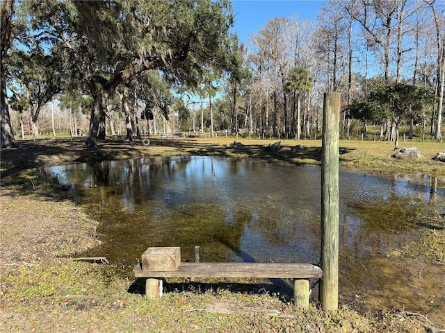 dock area with a water view