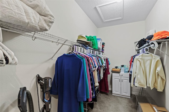 spacious closet with dark carpet