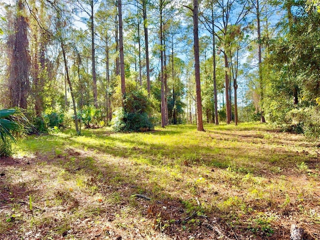 24120 Greenwood Xing, Eustis FL, 32736 land for sale