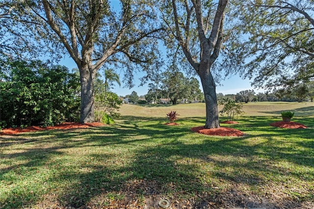 view of yard with a rural view