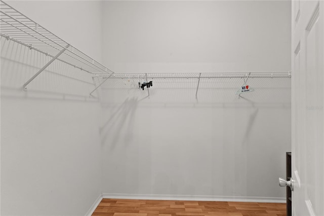 424 Rose Croft Ter, The Villages, FL 32162 - spacious closet with light wood-type flooring
