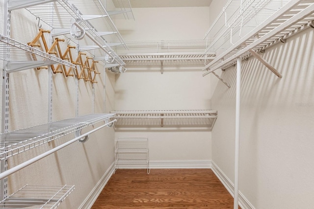 walk in closet featuring wood-type flooring