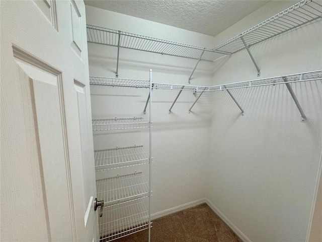 spacious closet with carpet floors