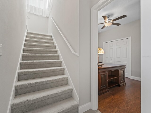 stairs featuring hardwood / wood-style flooring and ceiling fan