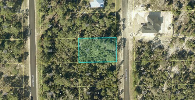 2117 Mcarthur Ave, Alva FL, 33920 land for sale