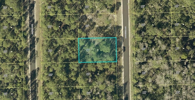 2113 Roosevelt Ave, Alva FL, 33920 land for sale