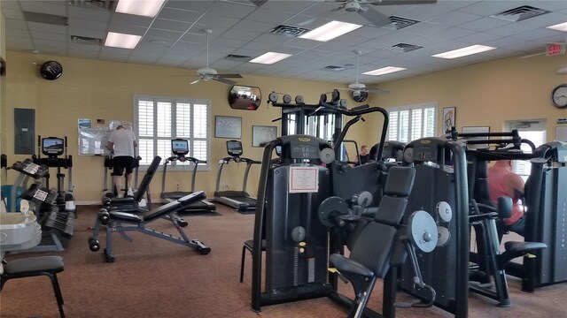 gym featuring a drop ceiling, electric panel, and ceiling fan