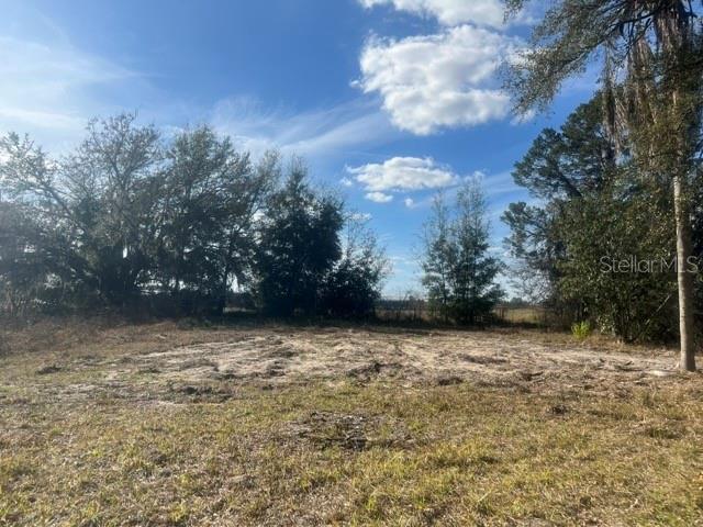 1370 SE 20th Ter, Sumterville FL, 33585 land for sale