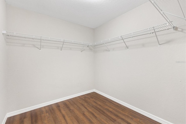 spacious closet featuring hardwood / wood-style flooring