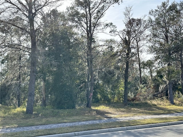 16015 Pendio Dr, Bella Collina FL, 34756 land for sale