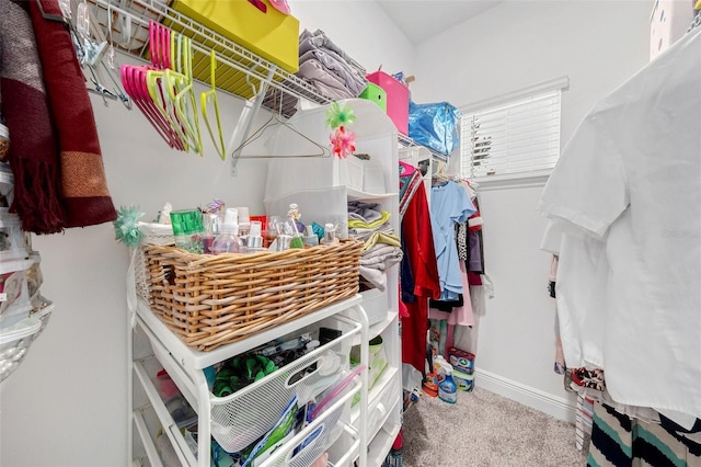 spacious closet with carpet