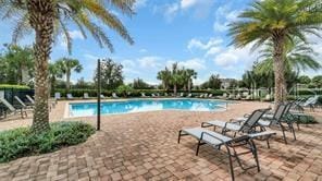 view of pool featuring a patio