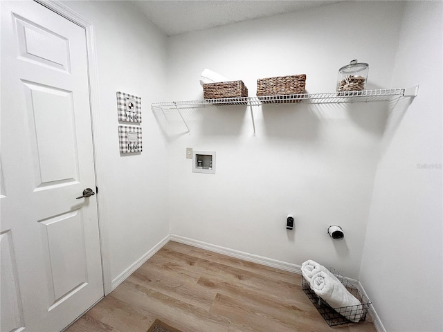 washroom featuring light hardwood / wood-style flooring and hookup for a washing machine