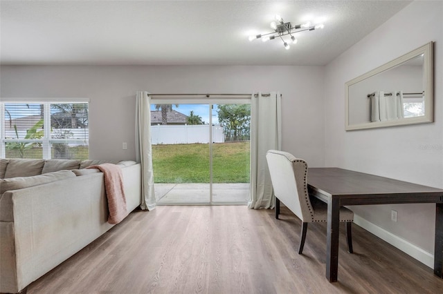 dining space featuring hardwood / wood-style flooring