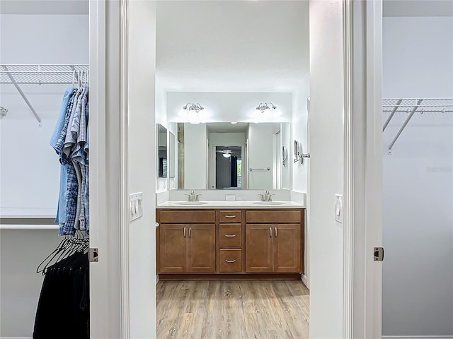 bathroom with hardwood / wood-style floors and vanity