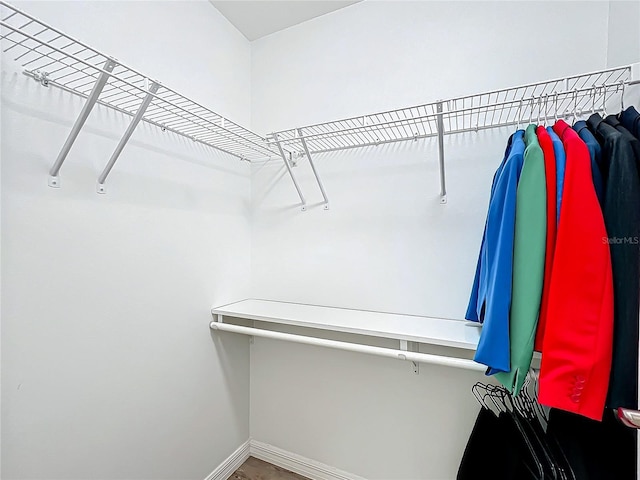 view of spacious closet