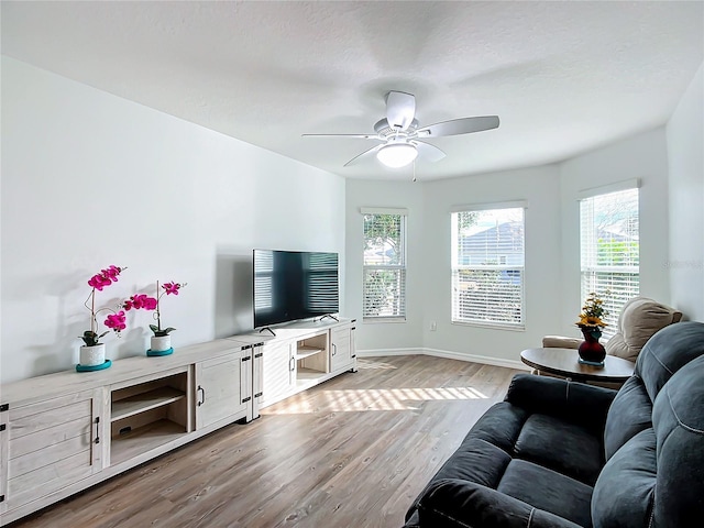 living room with ceiling fan and light hardwood / wood-style floors