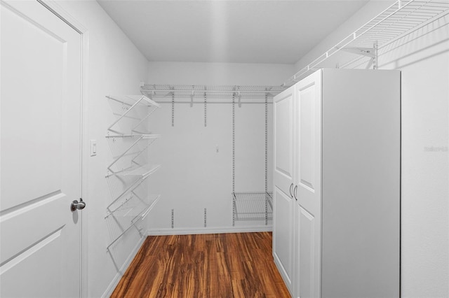 spacious closet featuring dark hardwood / wood-style flooring