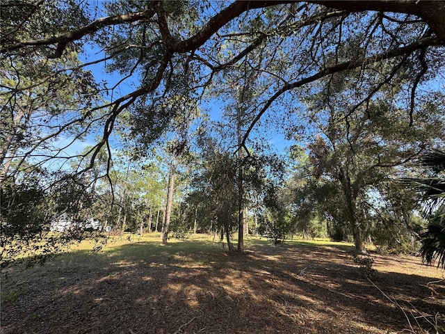 Bonsmara Dr, Groveland FL, 34736 land for sale