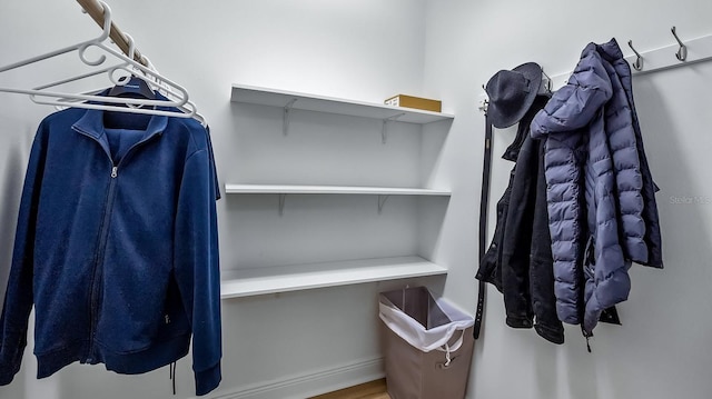 walk in closet with hardwood / wood-style floors