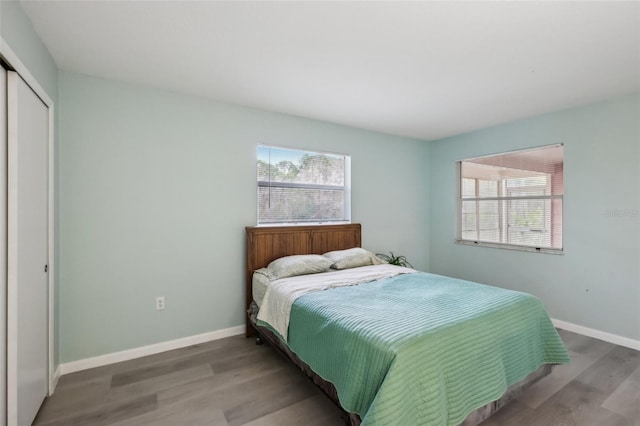 bedroom featuring a closet, hardwood / wood-style flooring, and multiple windows