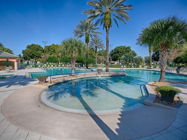 view of swimming pool featuring a patio