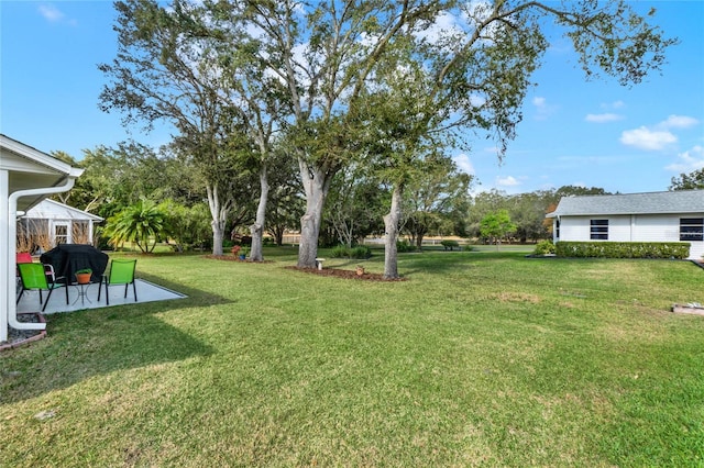 view of yard with a patio area