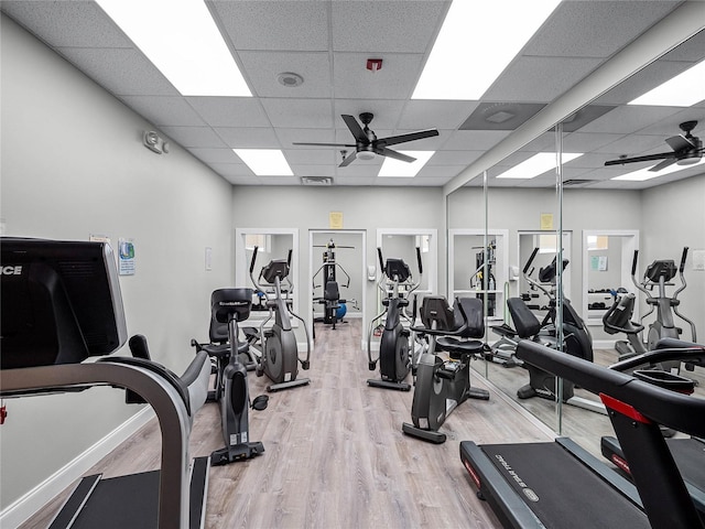 gym with a drop ceiling, hardwood / wood-style floors, and ceiling fan