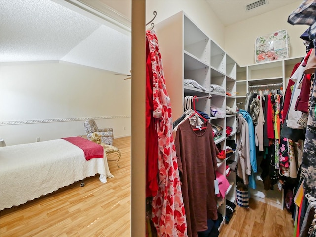 spacious closet featuring lofted ceiling and wood-type flooring