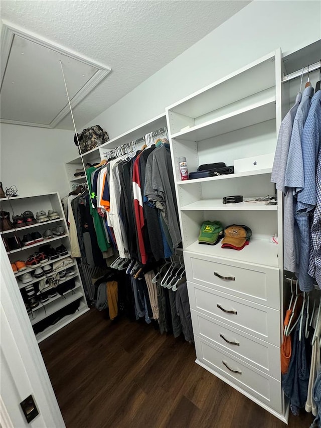 spacious closet with dark hardwood / wood-style floors