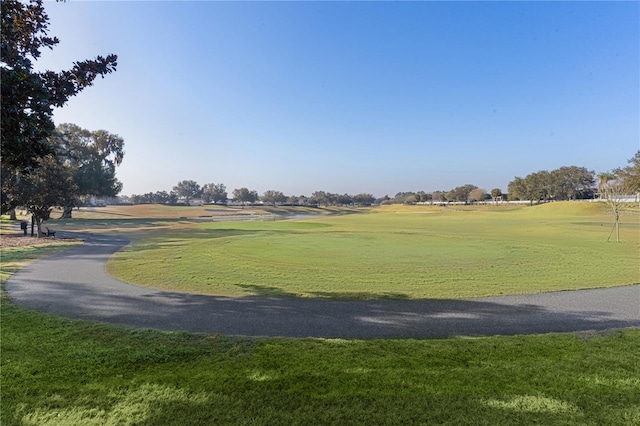 view of community with a lawn