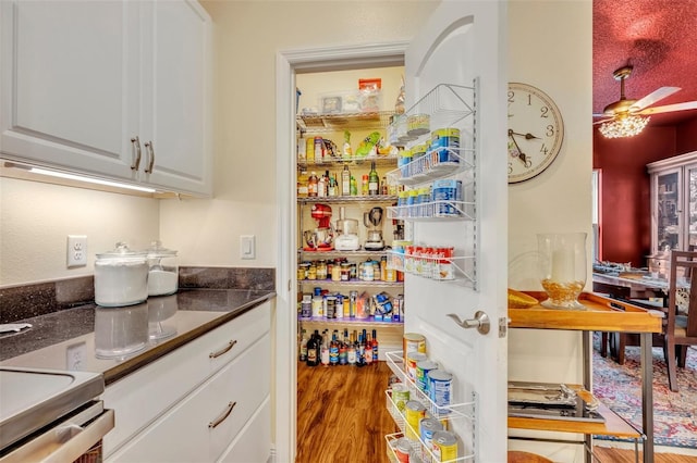 view of pantry