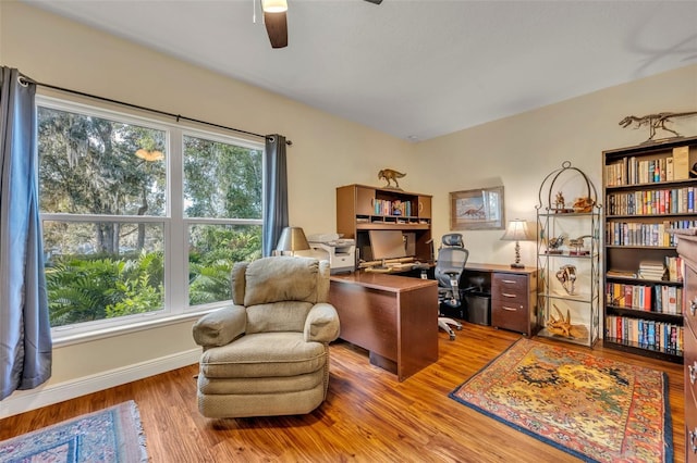 office featuring light hardwood / wood-style floors and ceiling fan