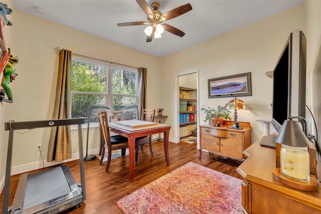 office space featuring ceiling fan and hardwood / wood-style floors