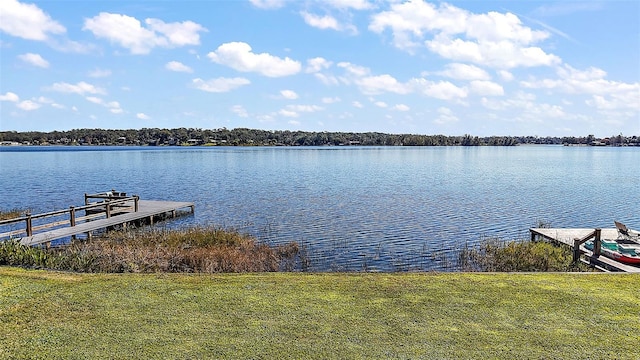 dock area with a water view and a lawn