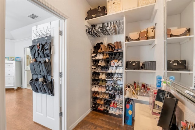 walk in closet with hardwood / wood-style flooring