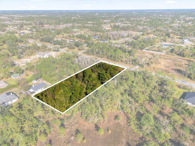 LOT14 Dallas Blvd, Orlando, FL 32833 - photo 8