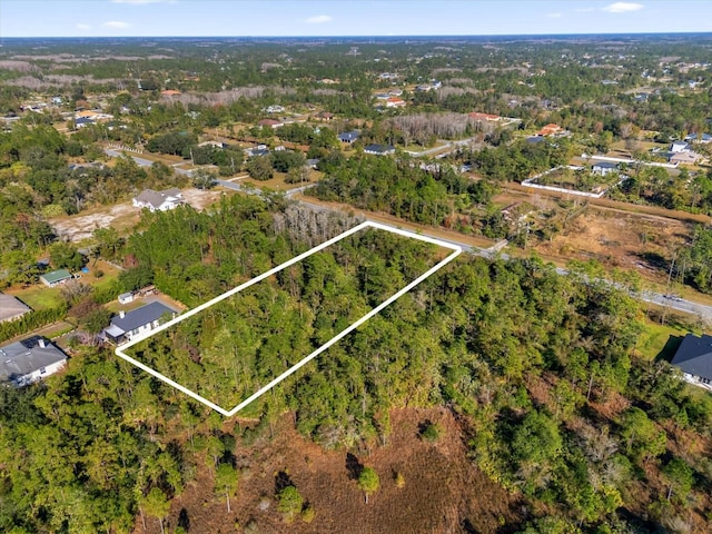LOT14 Dallas Blvd, Orlando, FL 32833 - photo 9