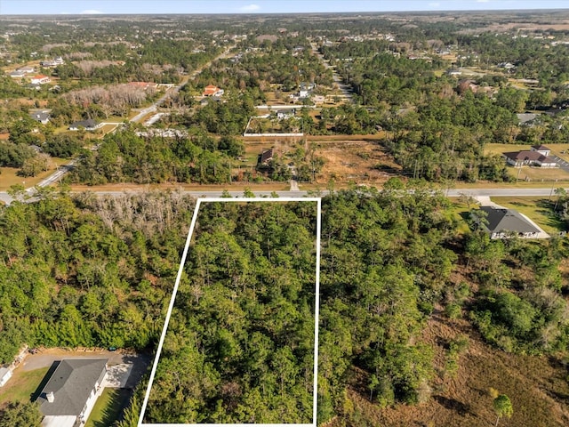 LOT14 Dallas Blvd, Orlando, FL 32833 - photo 11