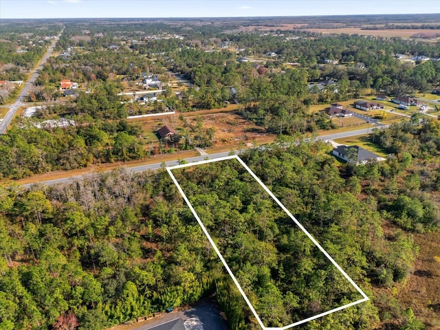 LOT14 Dallas Blvd, Orlando, FL 32833 - photo 12