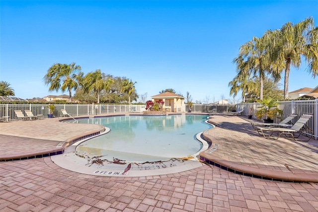 view of pool with a patio area