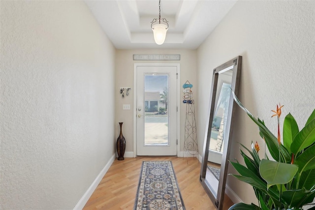 entryway featuring a raised ceiling and light wood-type flooring