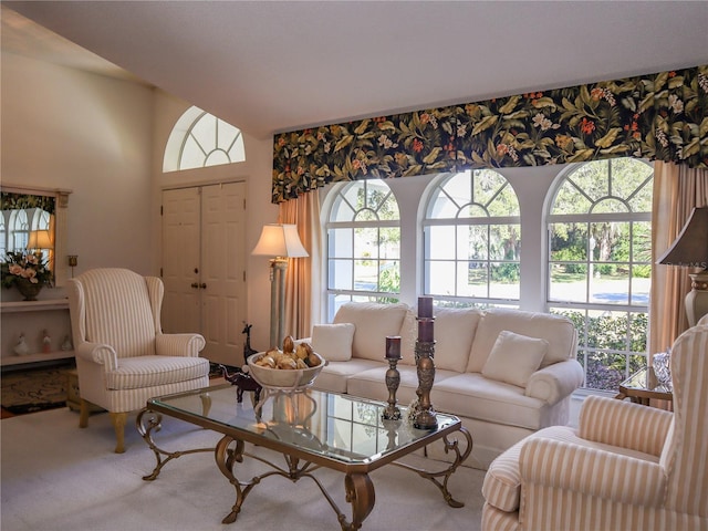 view of carpeted living area