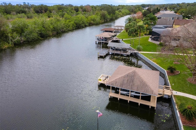 aerial view with a water view