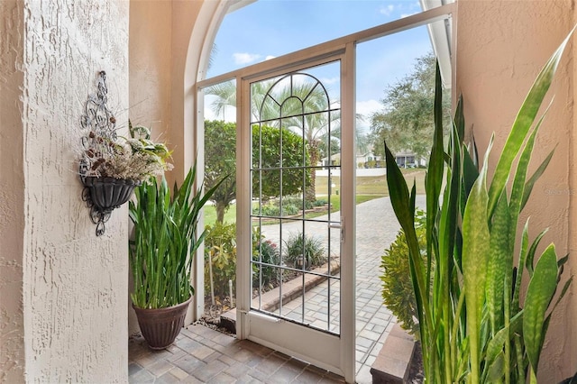 entryway with plenty of natural light