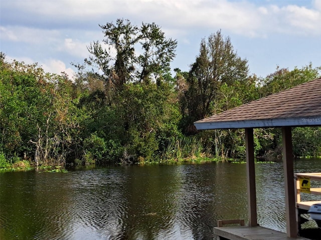 dock area featuring a water view