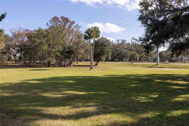 view of property's community featuring a yard