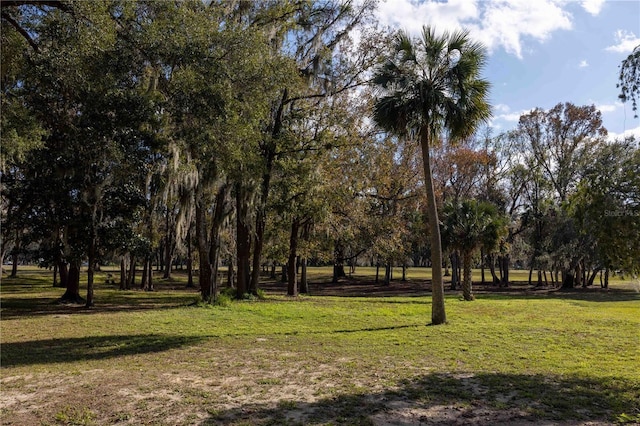 view of home's community featuring a lawn