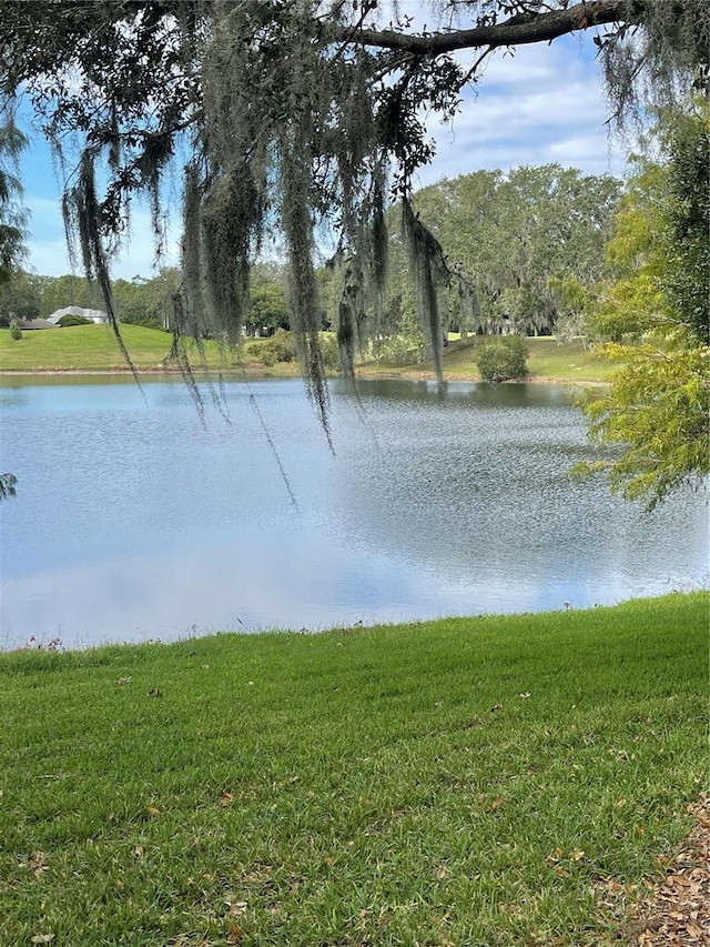 water view