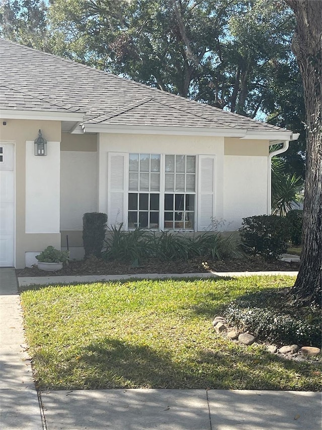 entrance to property with roof with shingles, a yard, and stucco siding